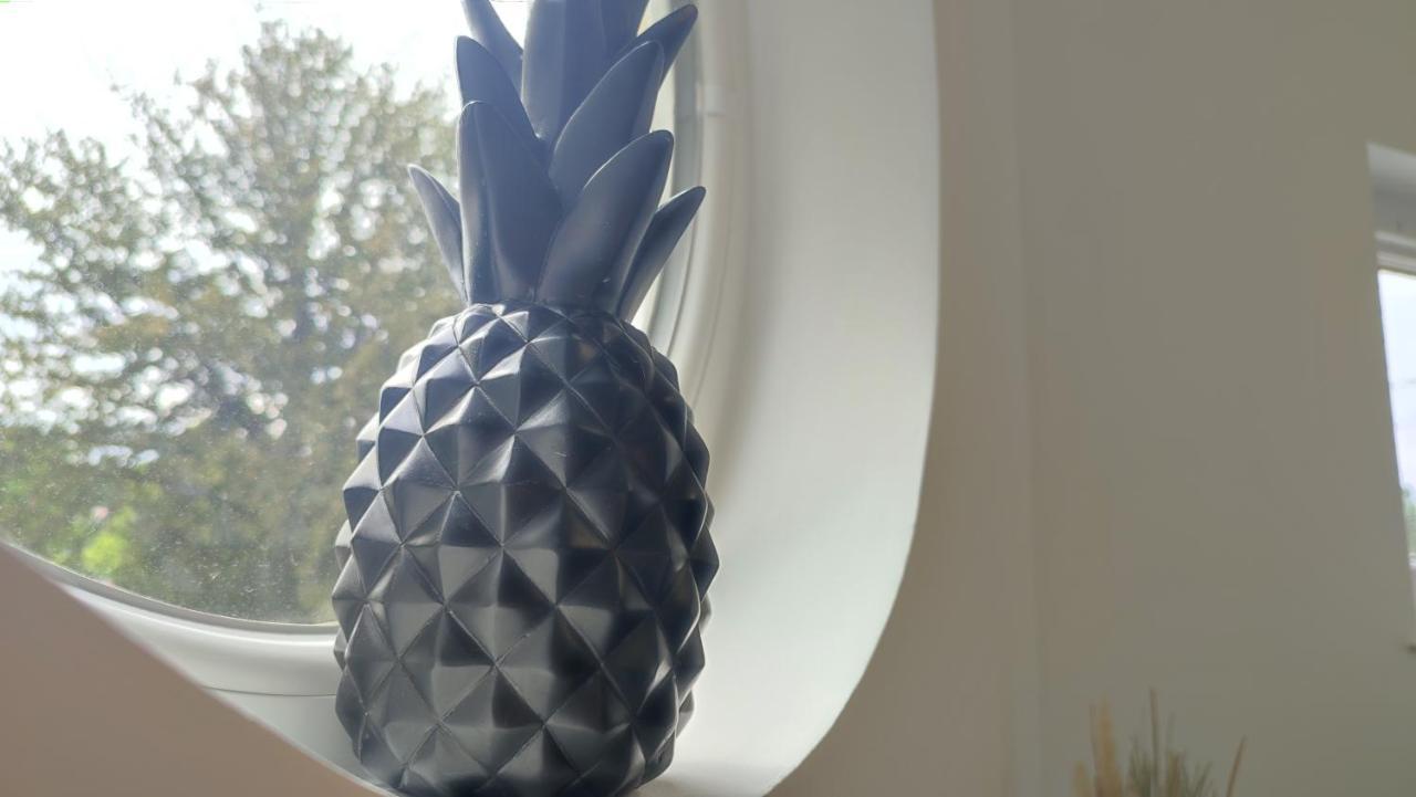 Studio Chill Chez Jules & Fiona Draguignan Luaran gambar